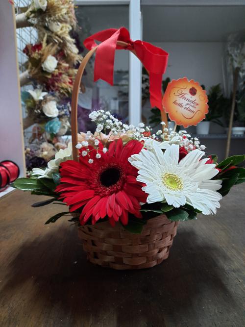 Sepette Gerbera