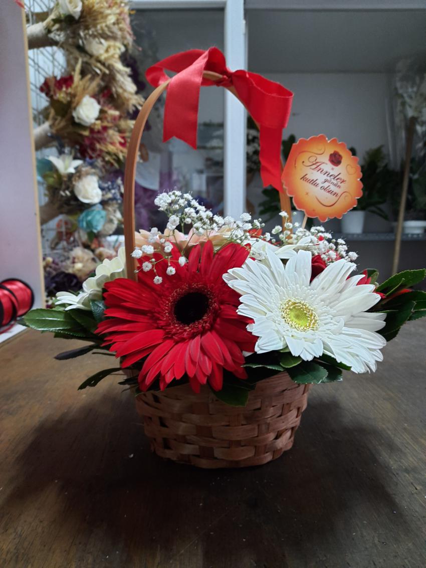 Sepette Gerbera